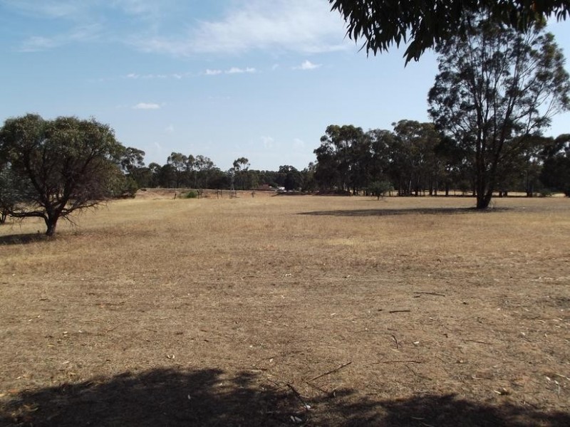 40 Hall Road ALMA, Maryborough VIC 3465