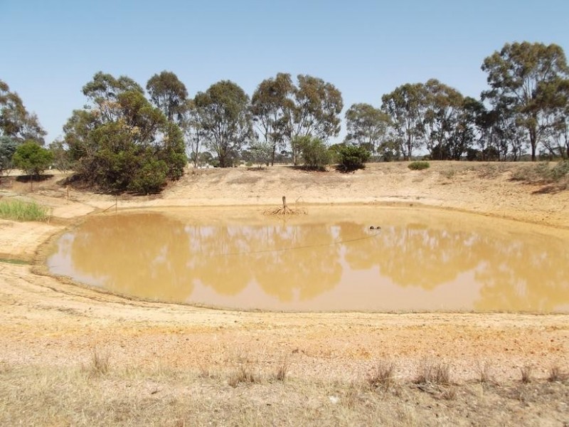 40 Hall Road ALMA, Maryborough VIC 3465