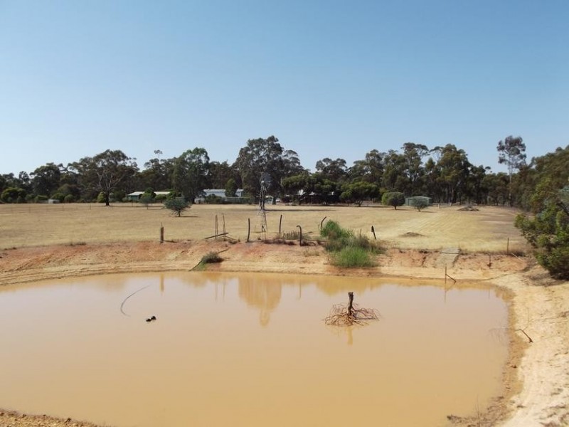 40 Hall Road ALMA, Maryborough VIC 3465