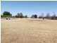 17 Baringhup Road, Carisbrook VIC 3464