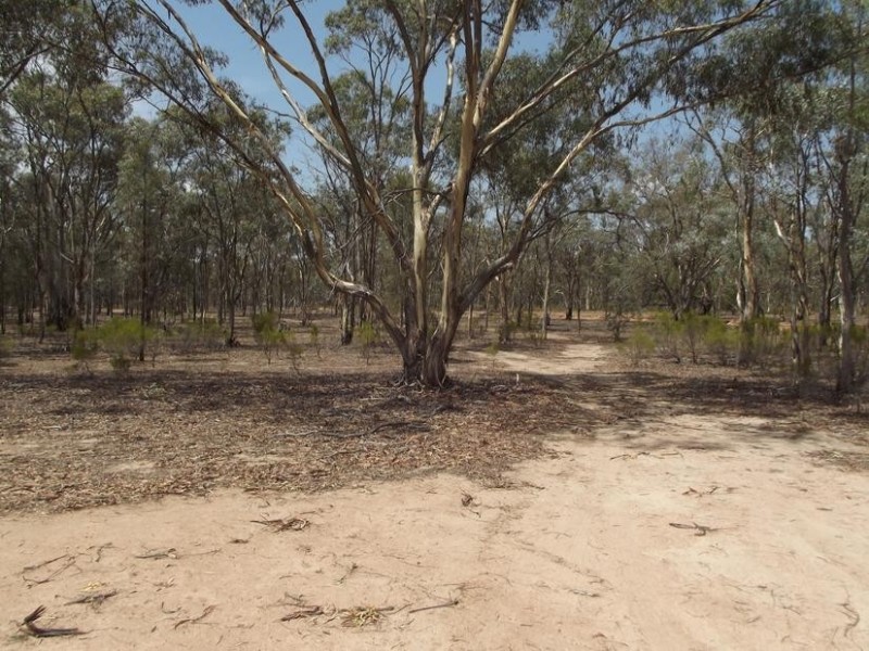 42 Bealiba South Road, Dunluce VIC 3472