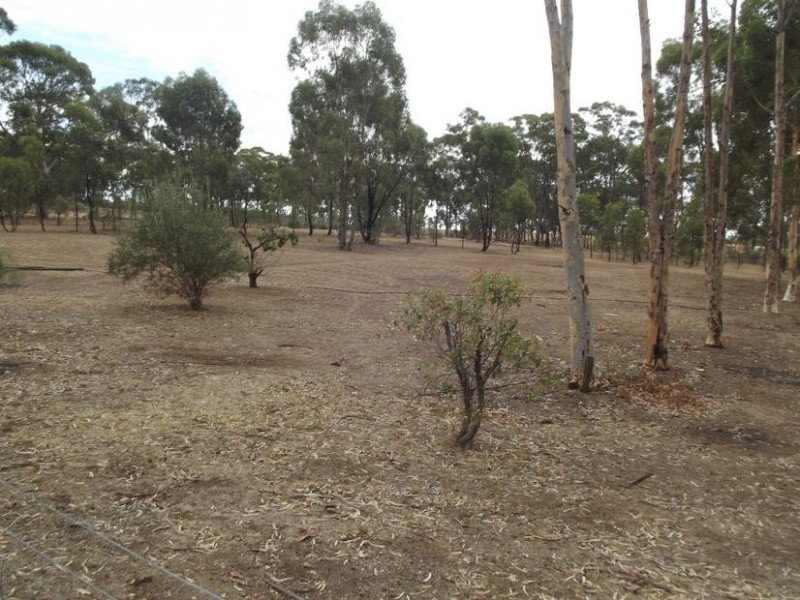 63 Logan Road, BEALIBA, Dunolly VIC 3472