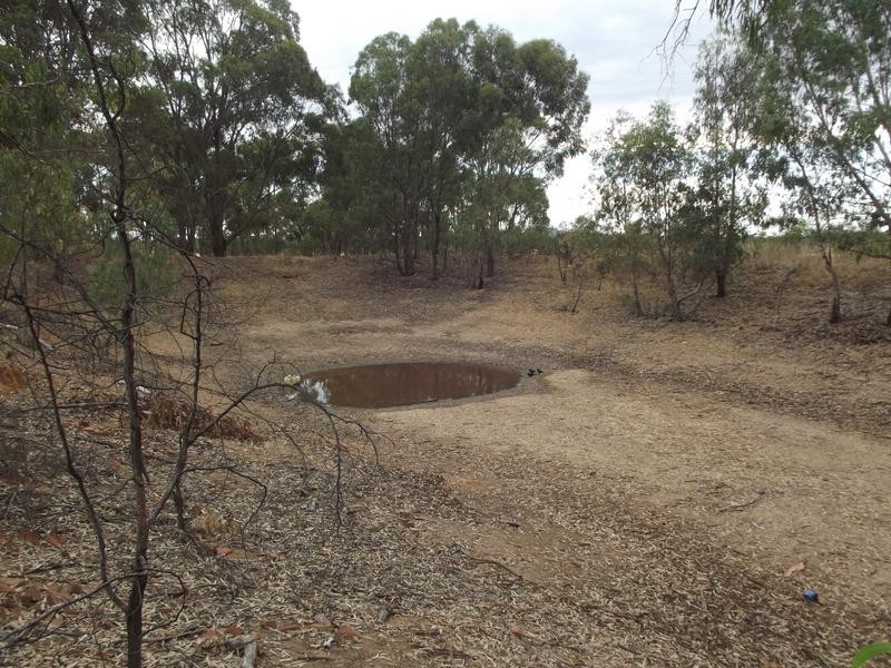 63 Logan Road, BEALIBA, Dunolly VIC 3472