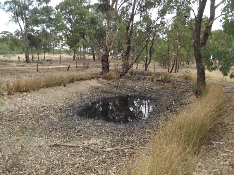 63 Logan Road, BEALIBA, Dunolly VIC 3472