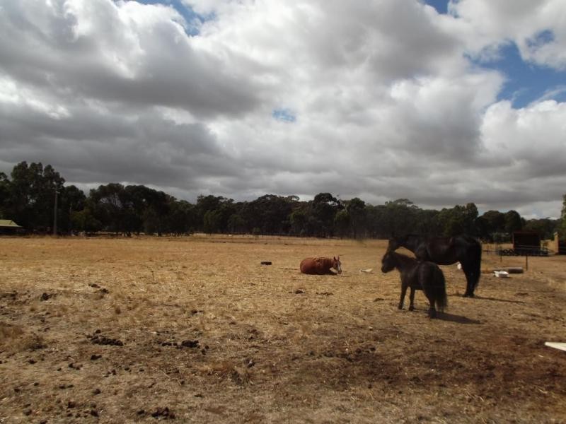 30 Wheens Road MAJORCA, Maryborough VIC 3465