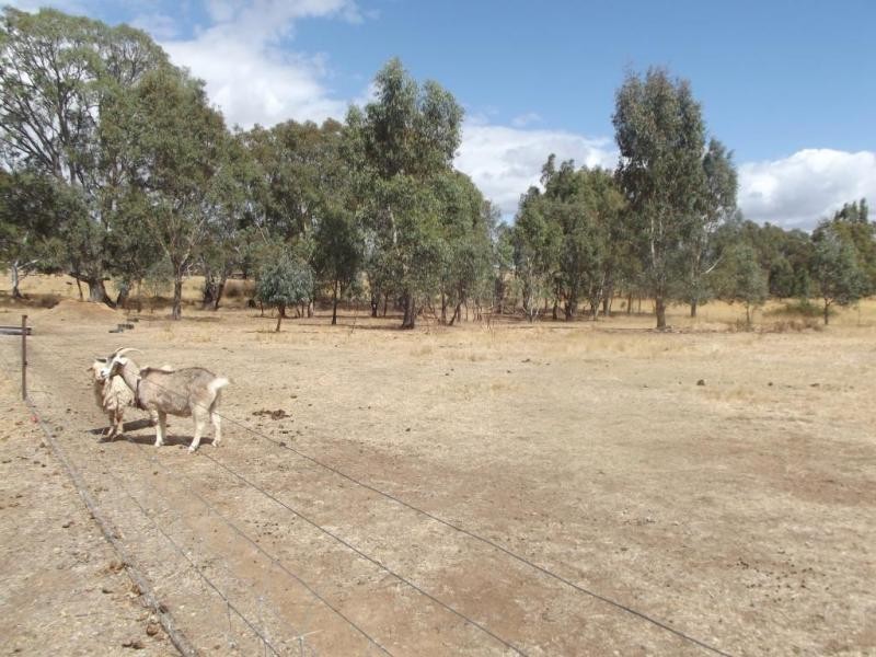 30 Wheens Road MAJORCA, Maryborough VIC 3465