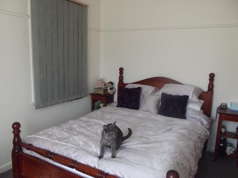 12 Michael Street, Maryborough VIC 3465