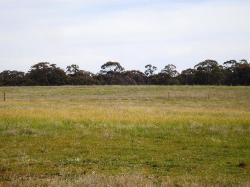 Lot 3 & 4,  Carisbrook-Eddington Road CARISBROOK, Maryborough VIC 3465