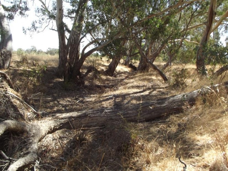 295 Pollocks Road AMHERST, Talbot VIC 3371