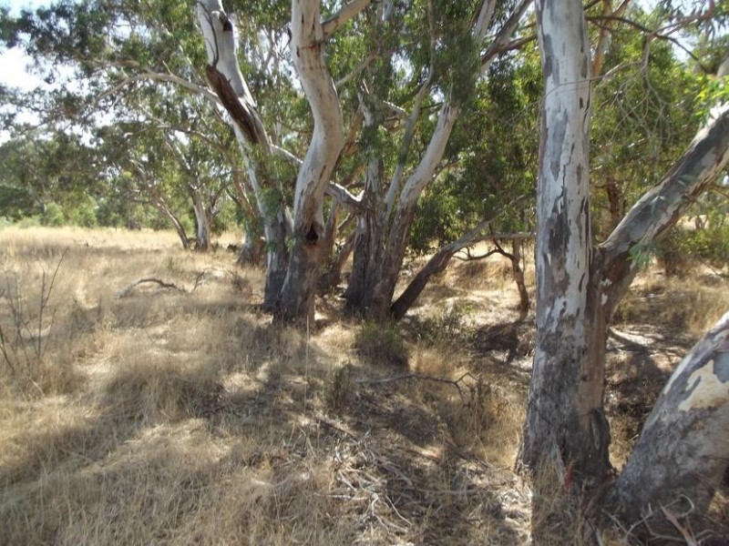 295 Pollocks Road AMHERST, Talbot VIC 3371