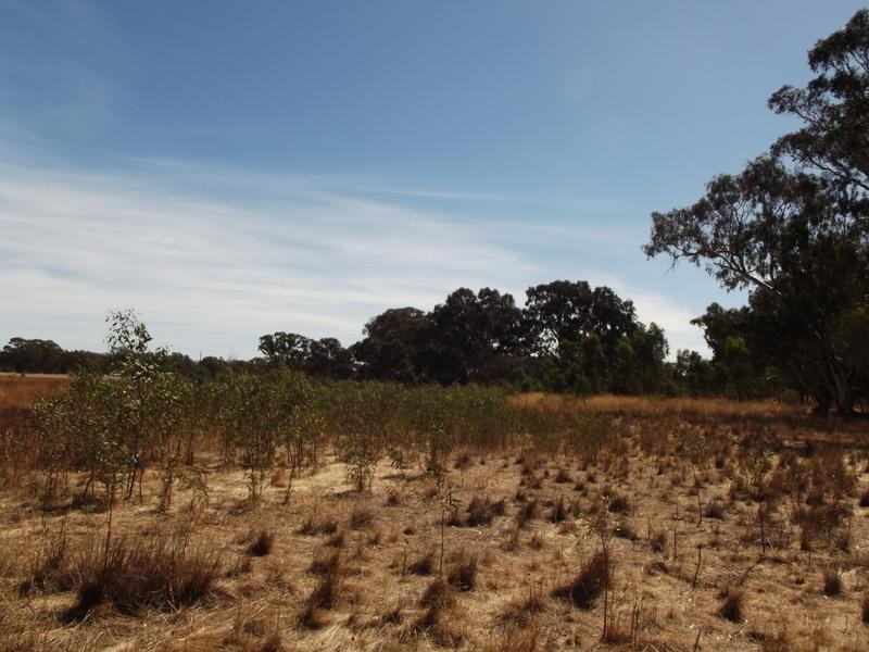 295 Pollocks Road AMHERST, Talbot VIC 3371