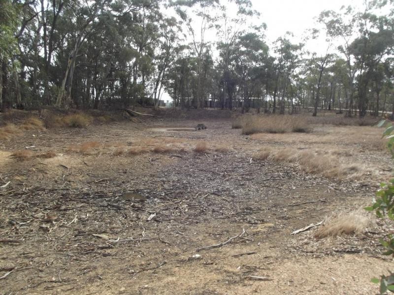 379 Moonlight Road MOONLIGHT FLAT, Maryborough VIC 3465