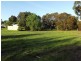 3190 Bendigo-Maryborough Road, Laanecoorie VIC 3463