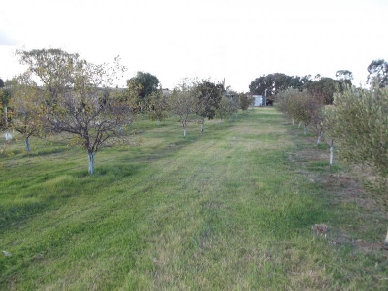 24 Crespigny Street, Talbot VIC 3371