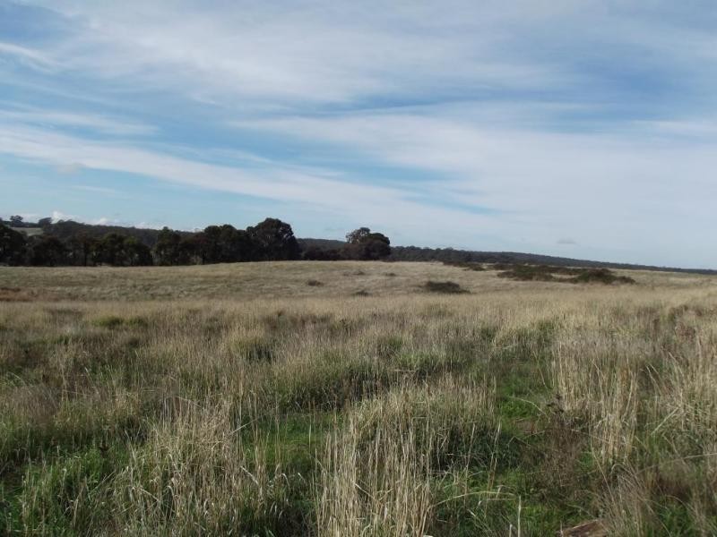 340 Majorca Road RED LION, Maryborough VIC 3465