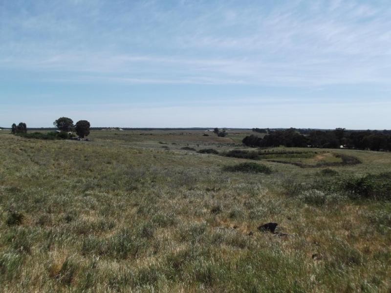 340 Majorca Road RED LION, Maryborough VIC 3465