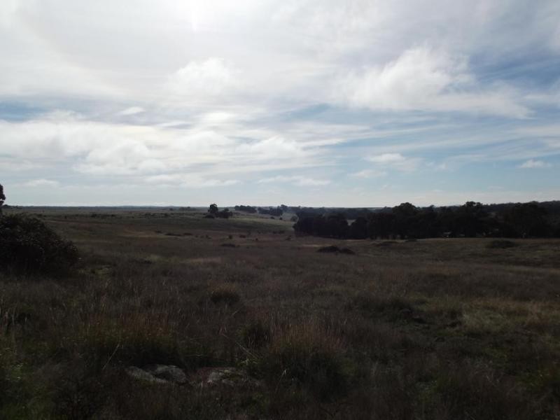 340 Majorca Road RED LION, Maryborough VIC 3465