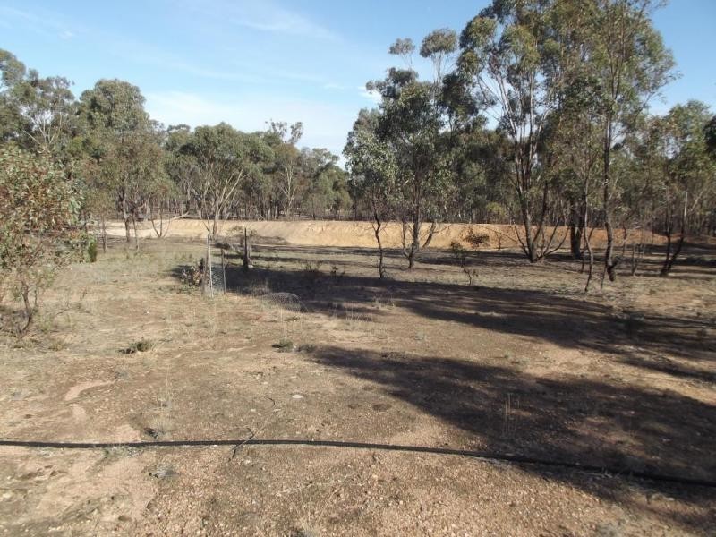 261 Newitts Lane, Bealiba VIC 3475