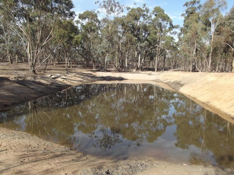 261 Newitts Lane, Bealiba VIC 3475