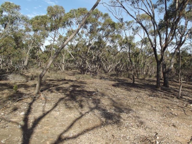 261 Newitts Lane, Bealiba VIC 3475