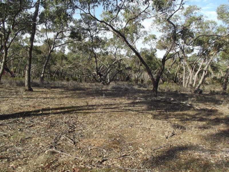 261 Newitts Lane, Bealiba VIC 3475