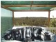 265 Moliagul Drive, MOLIAGUL, Dunolly VIC 3472