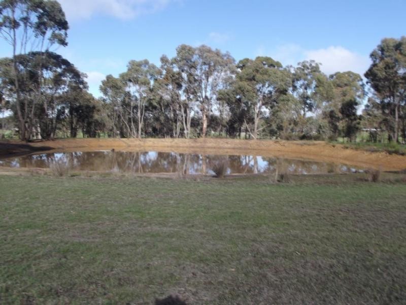 120 Scotts Road, LILLICUR, Talbot VIC 3371