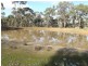 120 Scotts Road, LILLICUR, Talbot VIC 3371