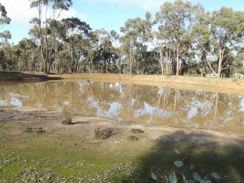 120 Scotts Road, LILLICUR, Talbot VIC 3371