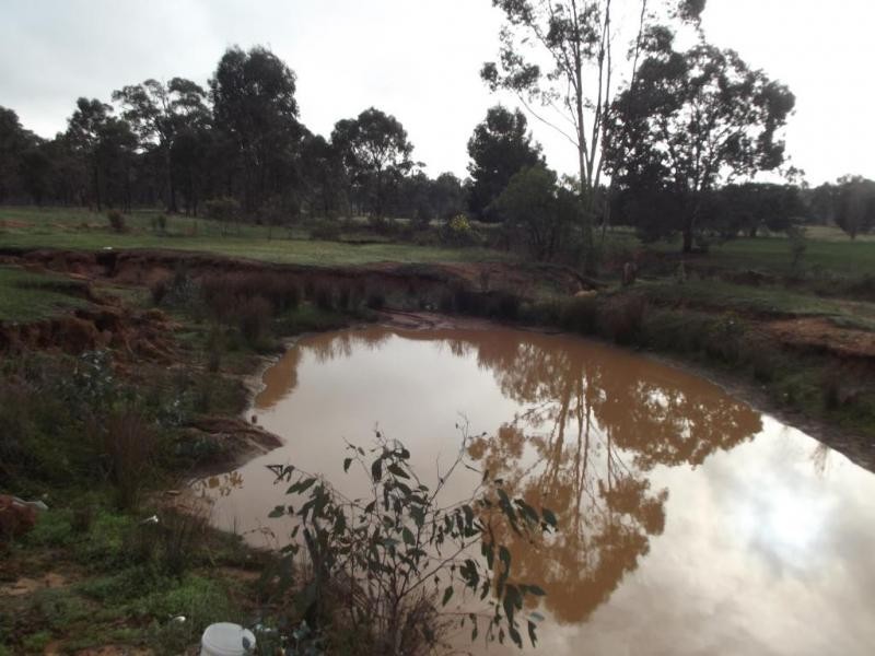 523 Dunolly-Rheola Road, PAINSWICK, Dunolly VIC 3472