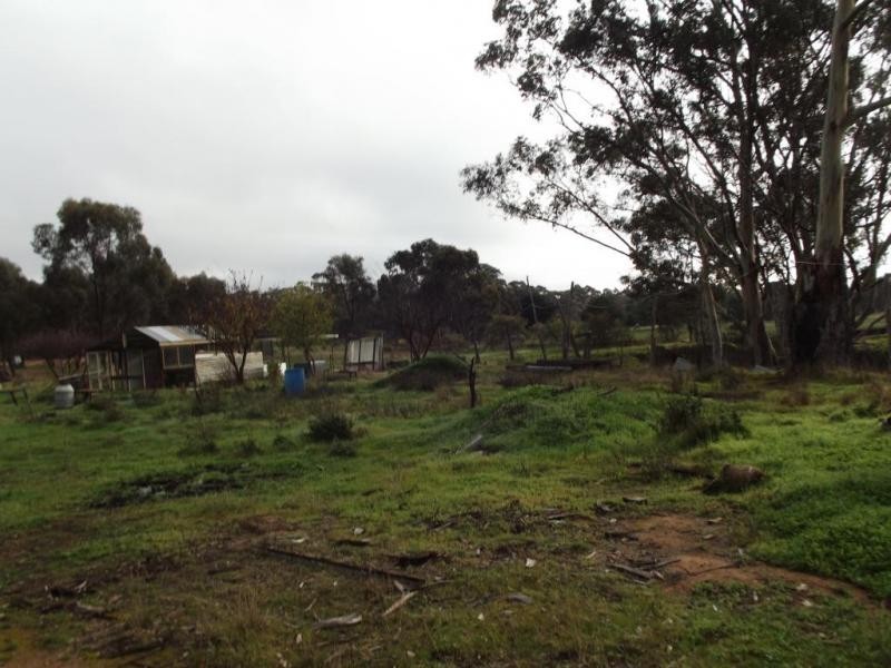 523 Dunolly-Rheola Road, PAINSWICK, Dunolly VIC 3472