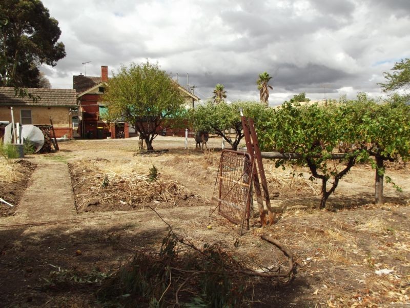 5 Outtrim Street, Maryborough VIC 3465