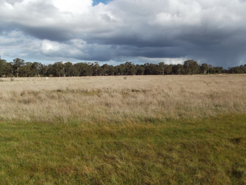 51 Timor-Bromley Road, Timor VIC 3465