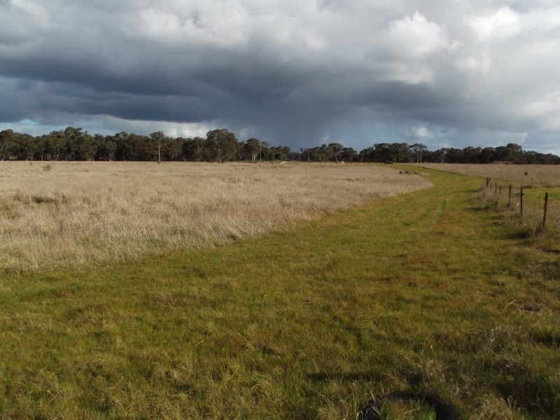 51 Timor-Bromley Road, Timor VIC 3465