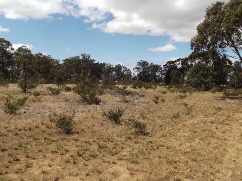 Lot 1,  Hamer Road, PEARCYDALE, Avoca VIC 3467