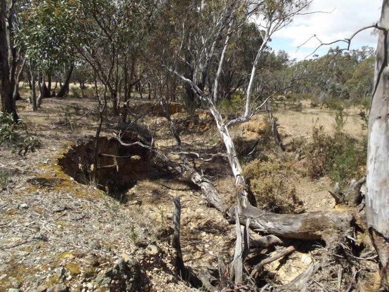 Lot 1,  Hamer Road, PEARCYDALE, Avoca VIC 3467