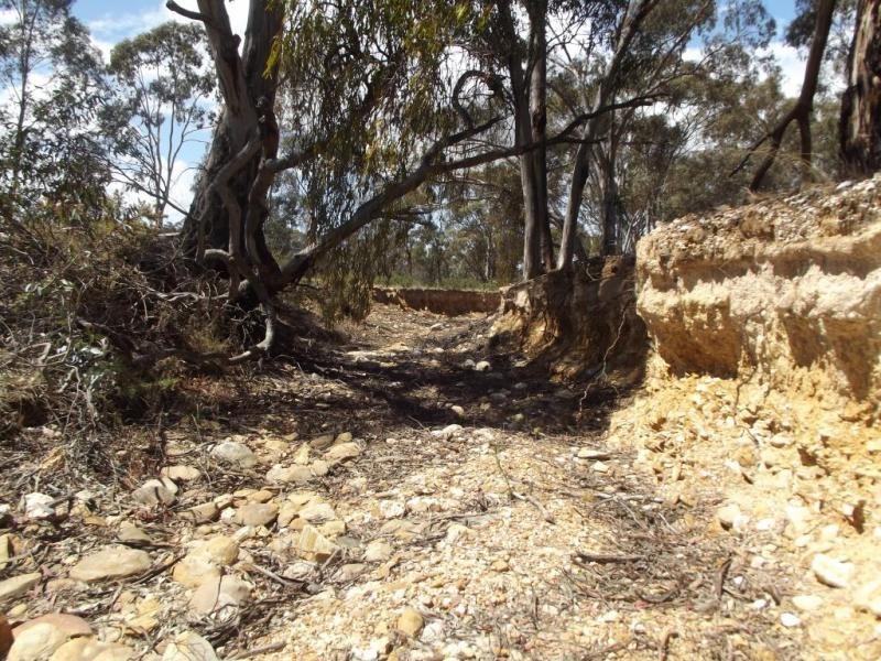 Lot 1,  Hamer Road, PEARCYDALE, Avoca VIC 3467