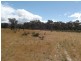 Lot 1,  Hamer Road, PEARCYDALE, Avoca VIC 3467
