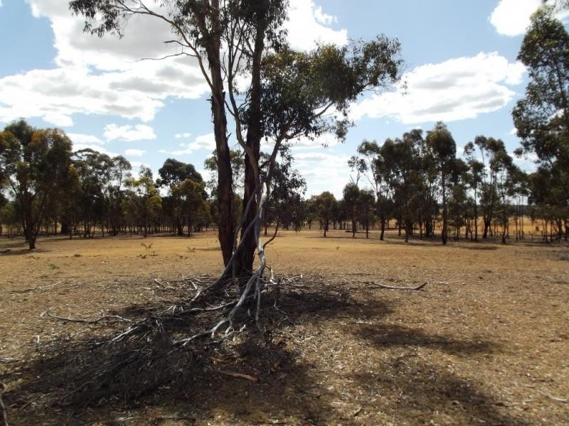 86 Sanderson Court, Bealiba VIC 3475