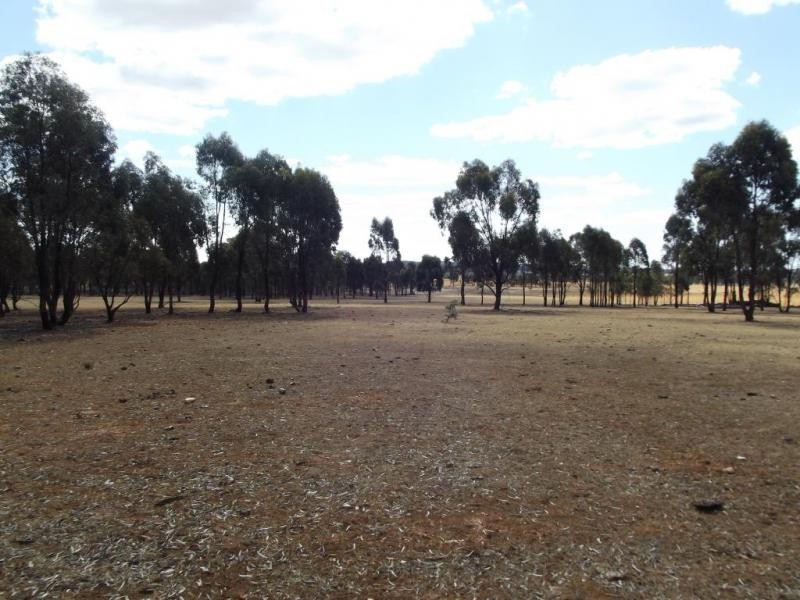 86 Sanderson Court, Bealiba VIC 3475