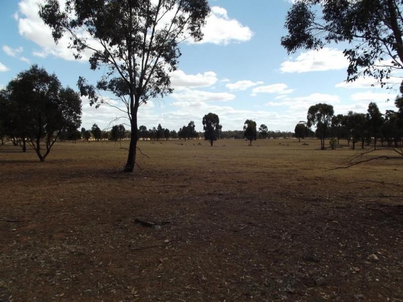 86 Sanderson Court, Bealiba VIC 3475