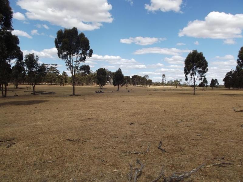 86 Sanderson Court, Bealiba VIC 3475