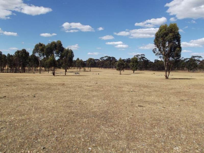 86 Sanderson Court, Bealiba VIC 3475