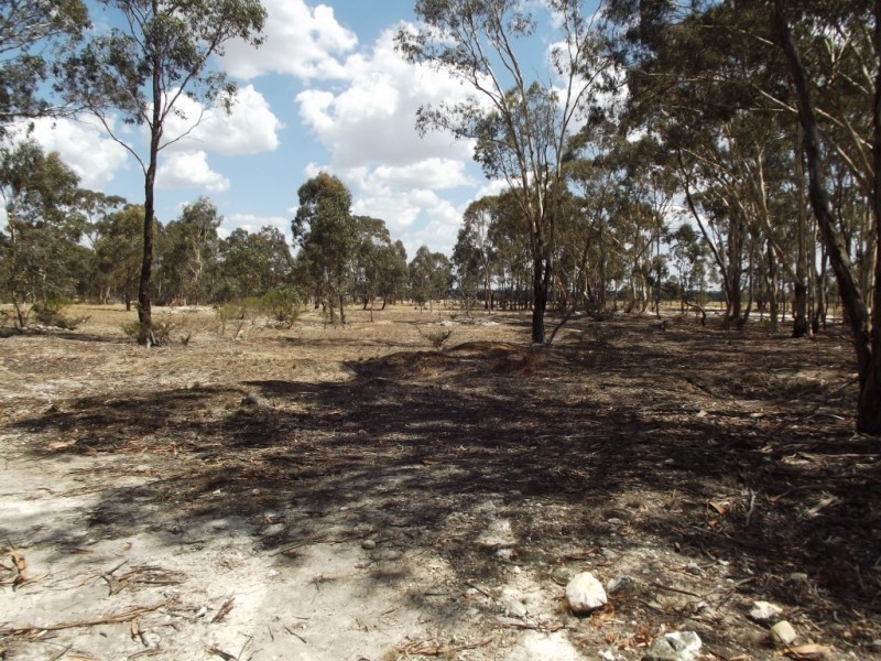 47 Separation Road, Dunolly VIC 3472