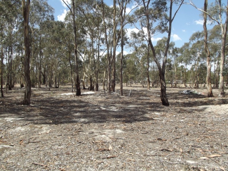 47 Separation Road, Dunolly VIC 3472