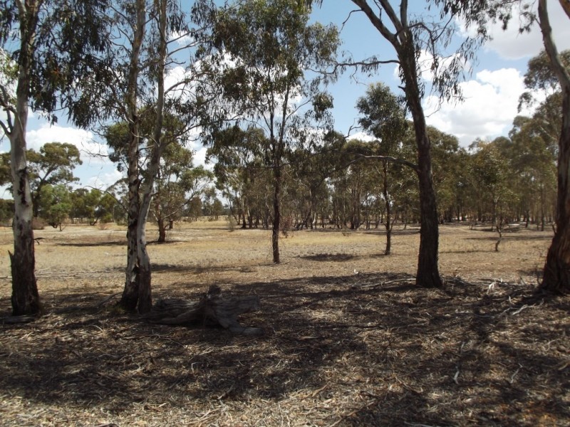 47 Separation Road, Dunolly VIC 3472