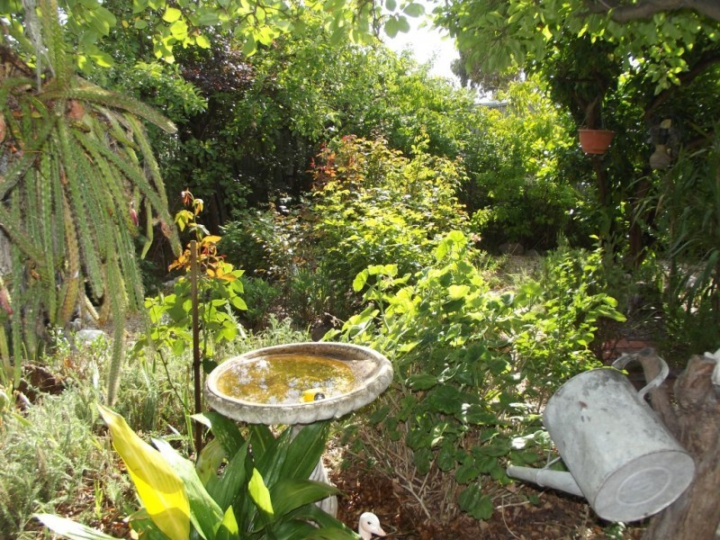 68 Rutherford Street, Avoca VIC 3467