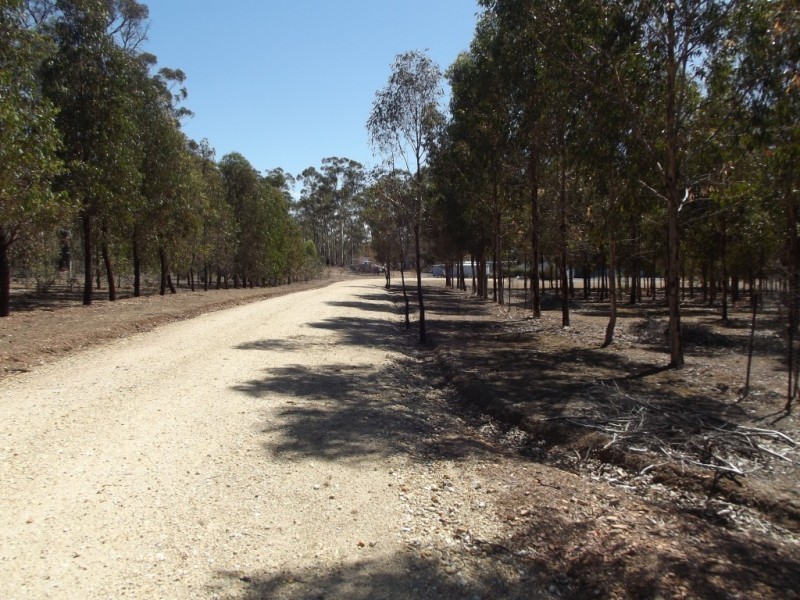 204 Mount View Road GOLDSBOROUGH, Dunolly VIC 3472