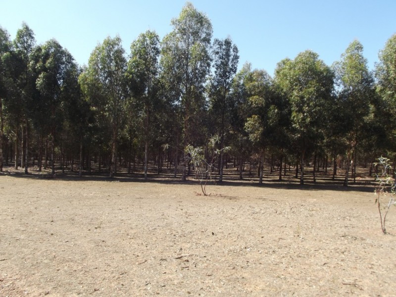 204 Mount View Road GOLDSBOROUGH, Dunolly VIC 3472