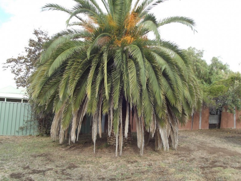 26 Barkly Street, Maryborough VIC 3465